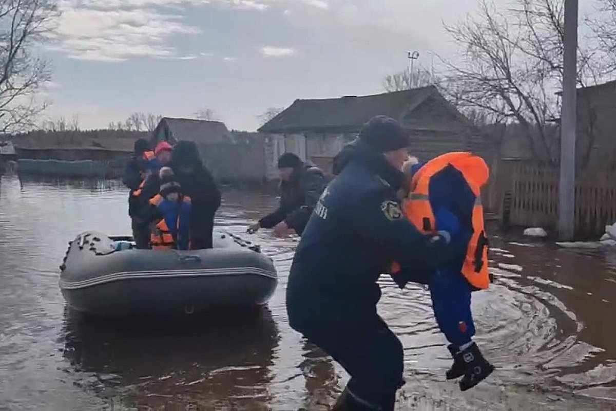 104 дома остаются подтопленными на 5 апреля в Алтайском крае | АиФ–Барнаул  | Дзен