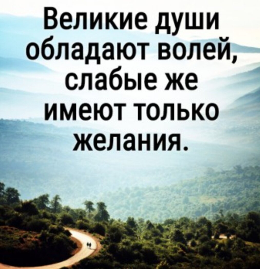 Ипостаси обладают одной волей. Сильной волей обладают тот ученик, которому свойственны:. Гордые души страдают молча. Великая душа. Моей великой души.