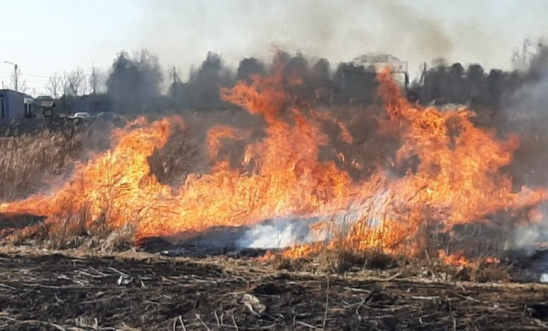 трава горит и приближается к дому