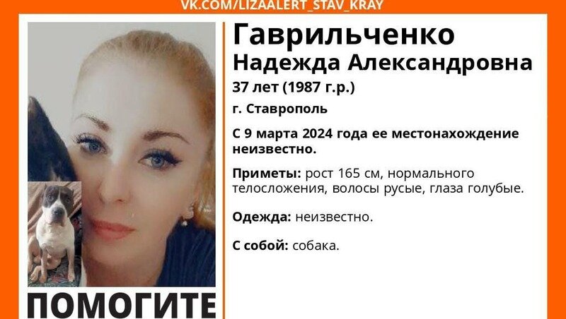      Фото: ПСО «ЛизаАлерт»
