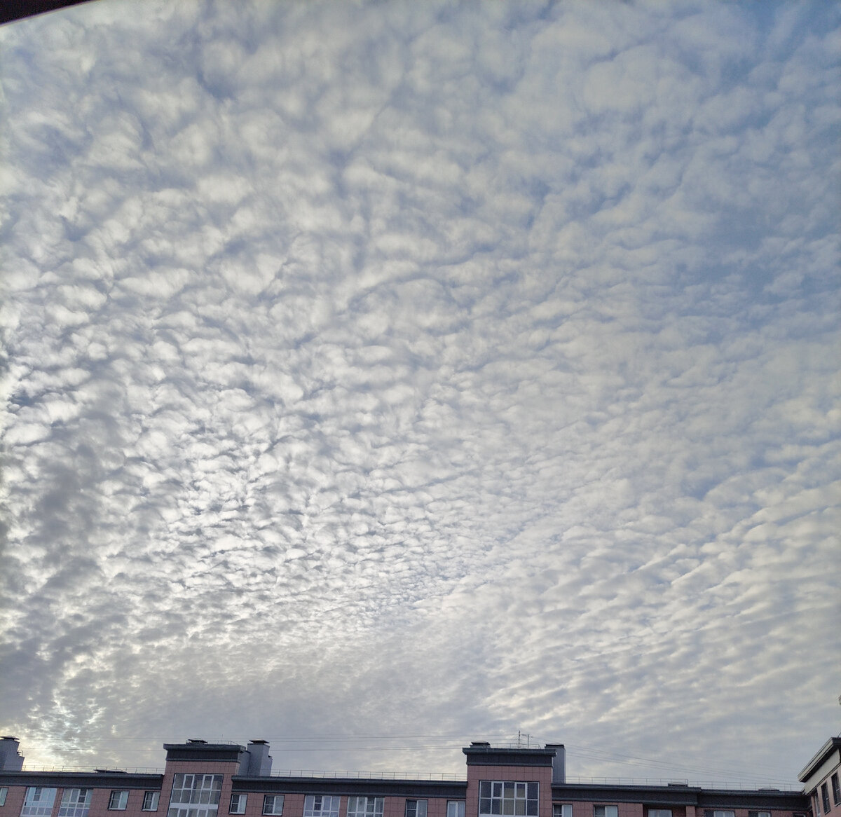 Вот такие у нас утром были облака 🌤️