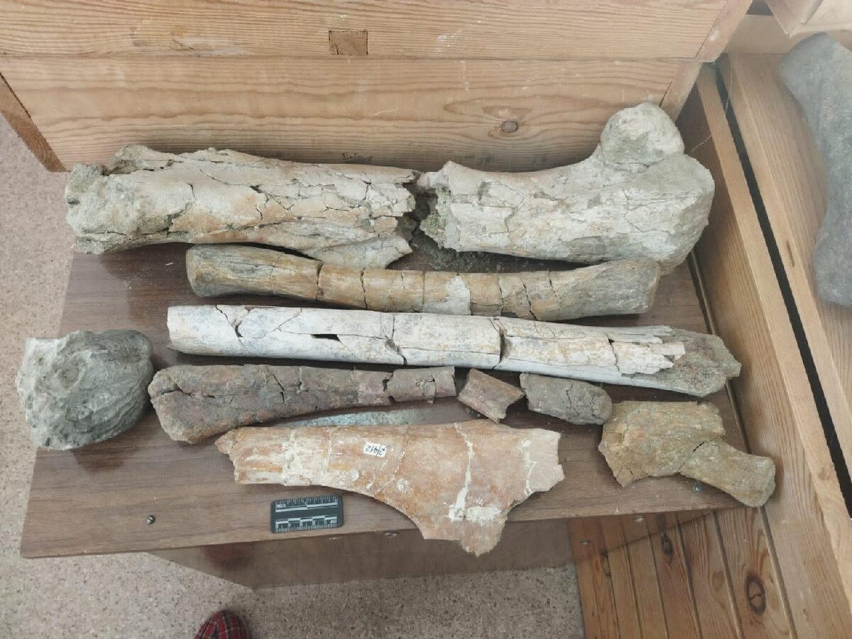 Фото предоставлено пресс-службой Минобрнауки Амурской области