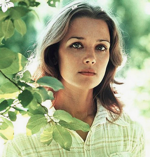 Фото из свободных источников Интернета