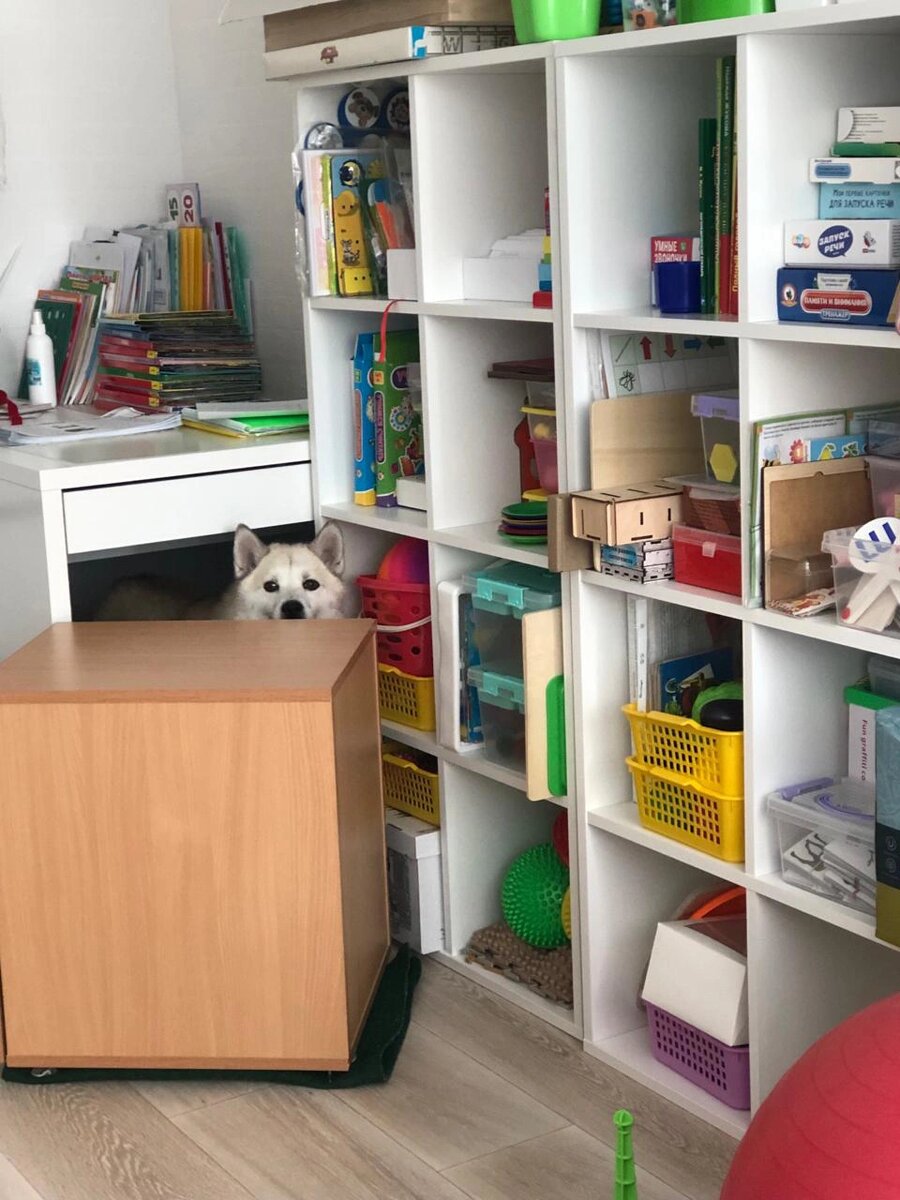 Листайте вправо, чтобы увидеть больше изображений