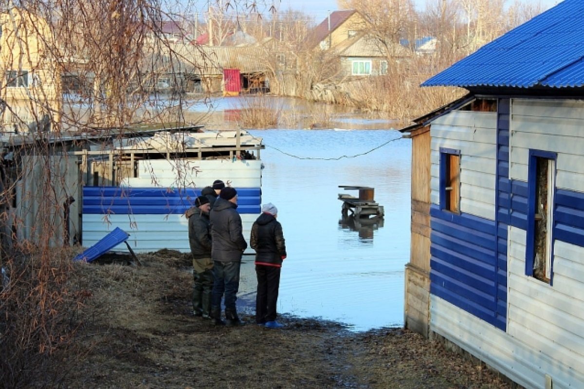    Уровень воды в селе Солоновка Волчихинского района начал снижаться