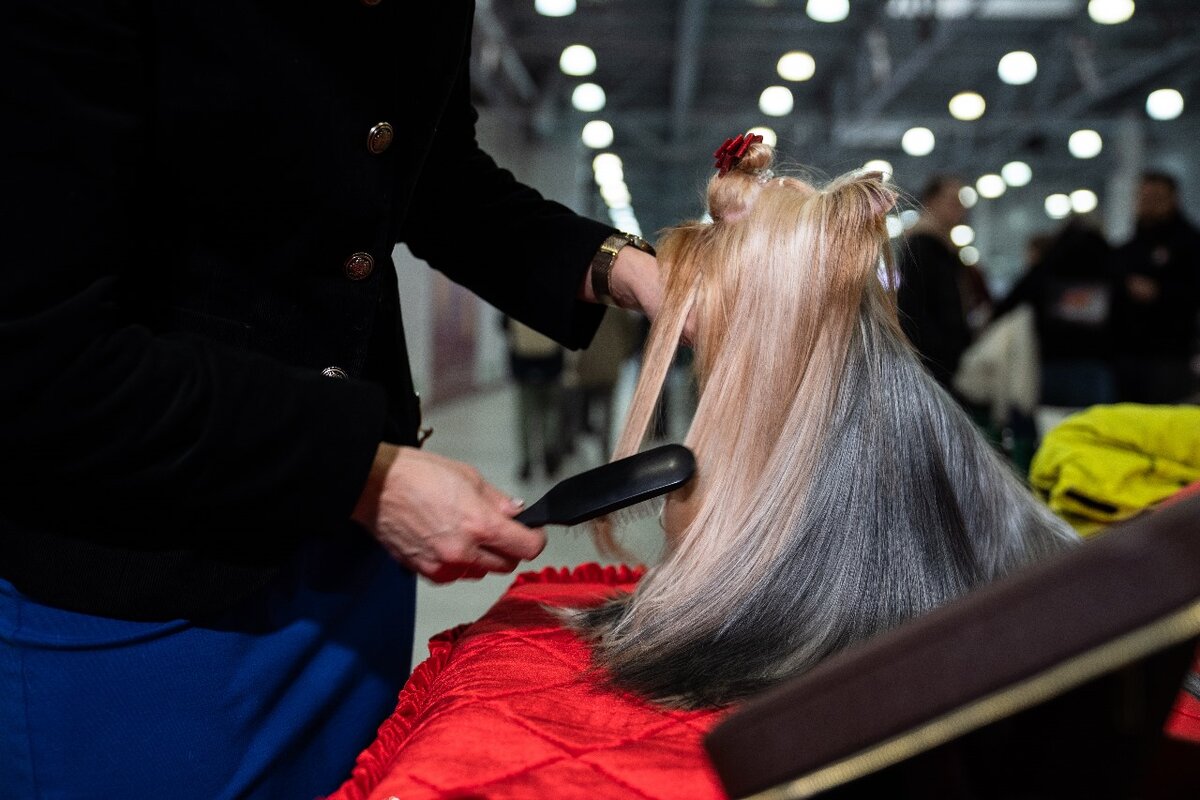    Фото: Александр Плонский / "ВиЖ"