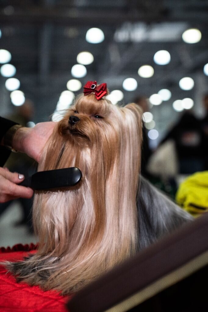 Фото: Александр Плонский / "ВиЖ"