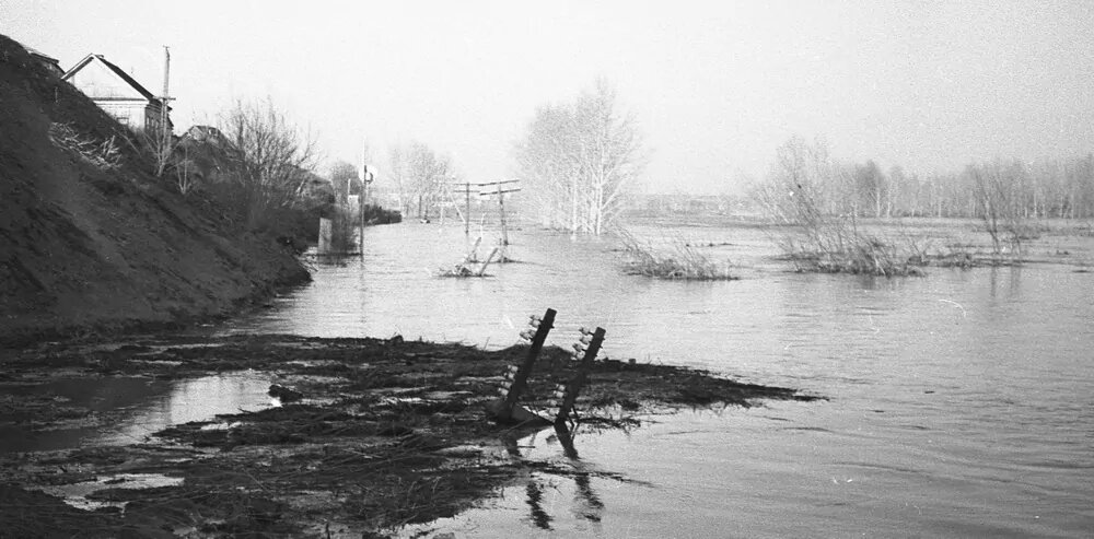    Разрушено 5840 домов: Страшные последствия паводка в Оренбуржье в 1942 году Белов Михаил Александрович