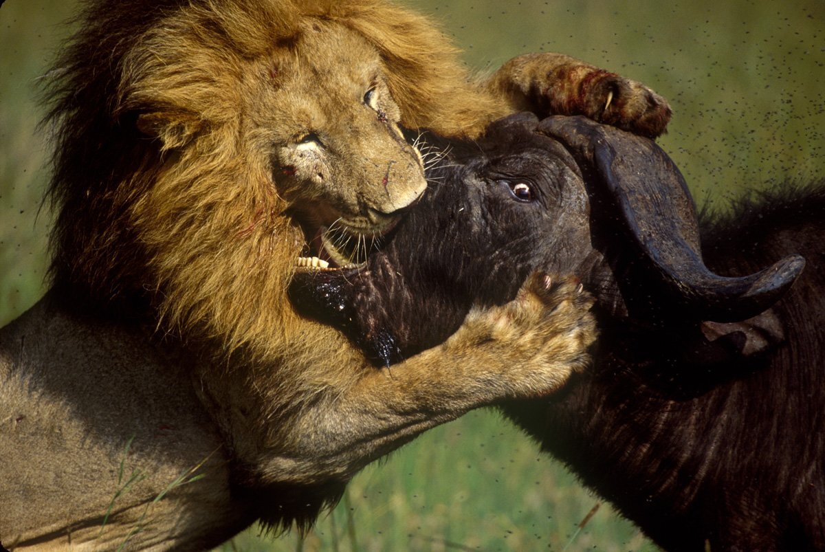 Фото из Интернета