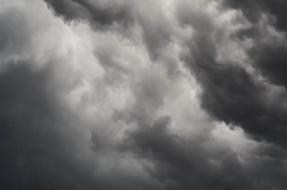    В Новосибирской области объявили штормовое предупреждение из-за паводка