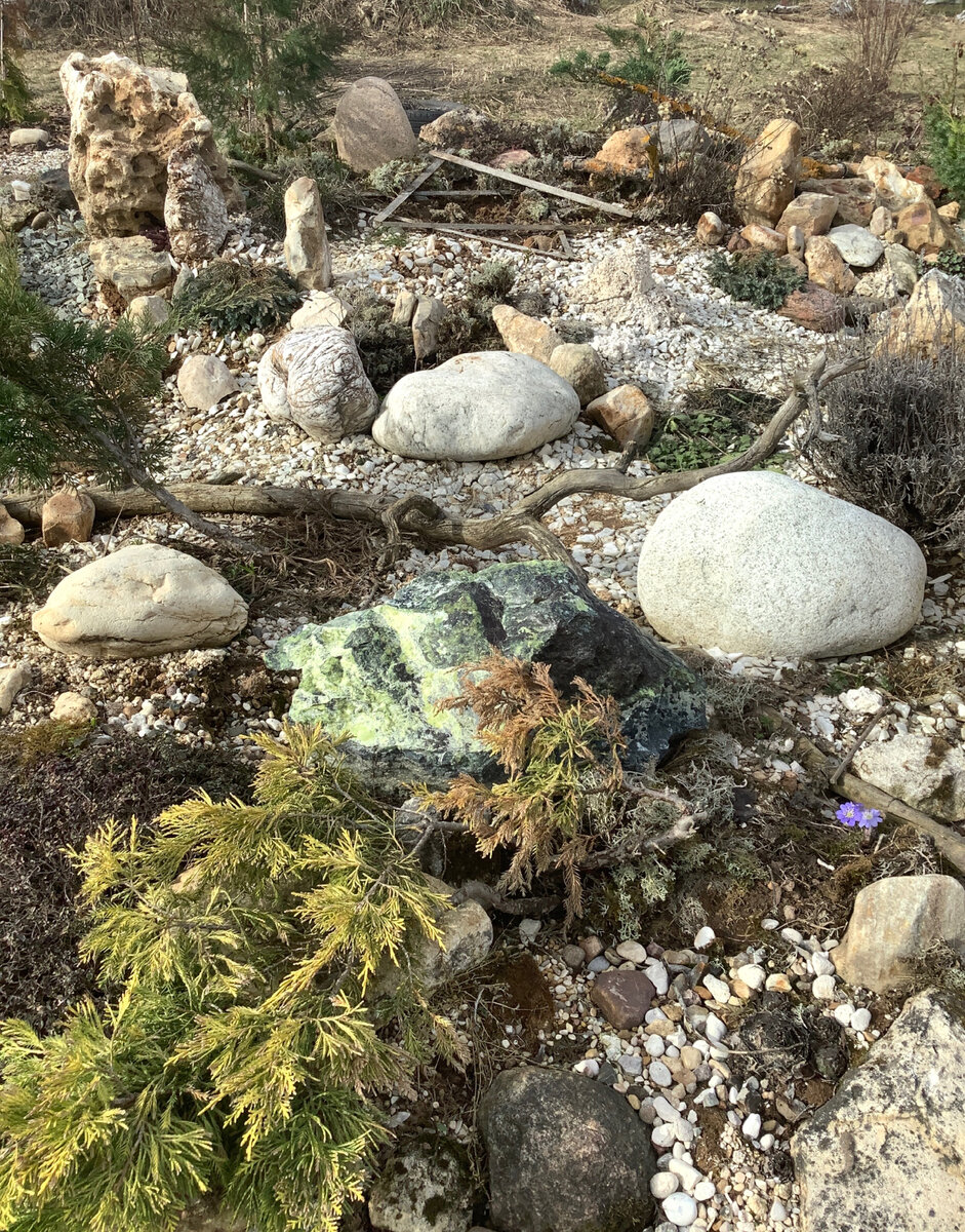 Навезли камней. Однажды в центре композиции у меня должен зацвести морозник..