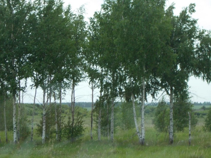 Фото "Родной стороны"