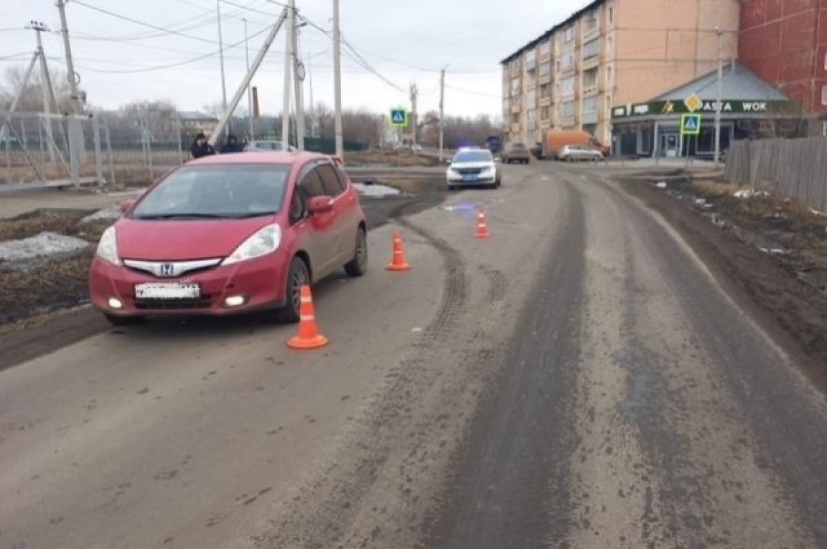 Водитель сбил выбежавшую на дорогу восьмилетнюю двоечку в Тайшете |  АиФ–Иркутск | Дзен