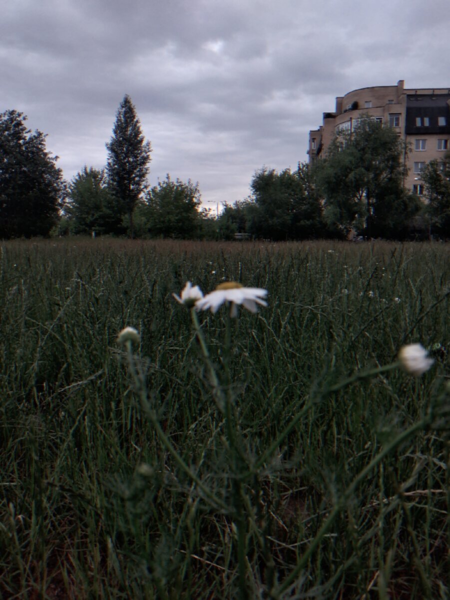 Фото Анастасии Балашовой