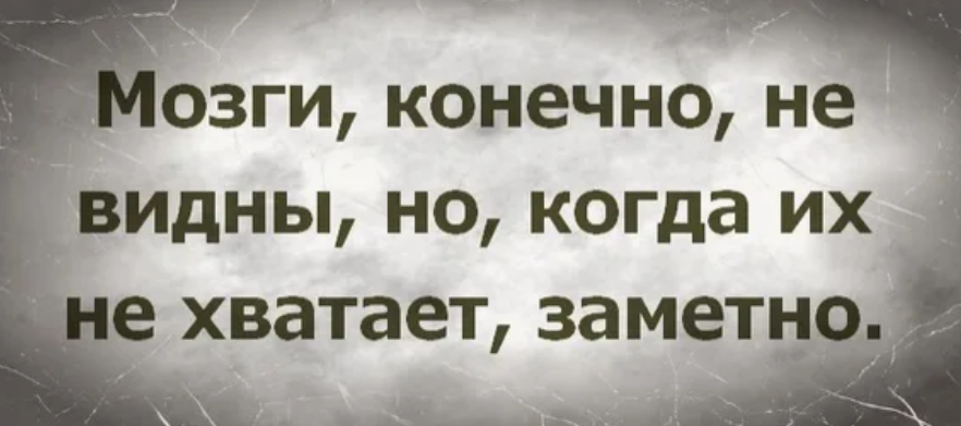 Дает мозги. Фразы про отсутствие мозга. Цитаты про мозг. У некоторых людей нет мозгов. Цитаты про отсутствие мозгов.