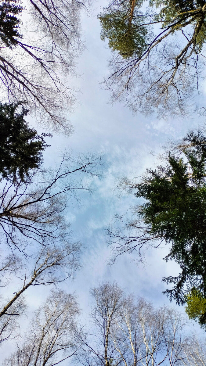 8 апреля 2024г