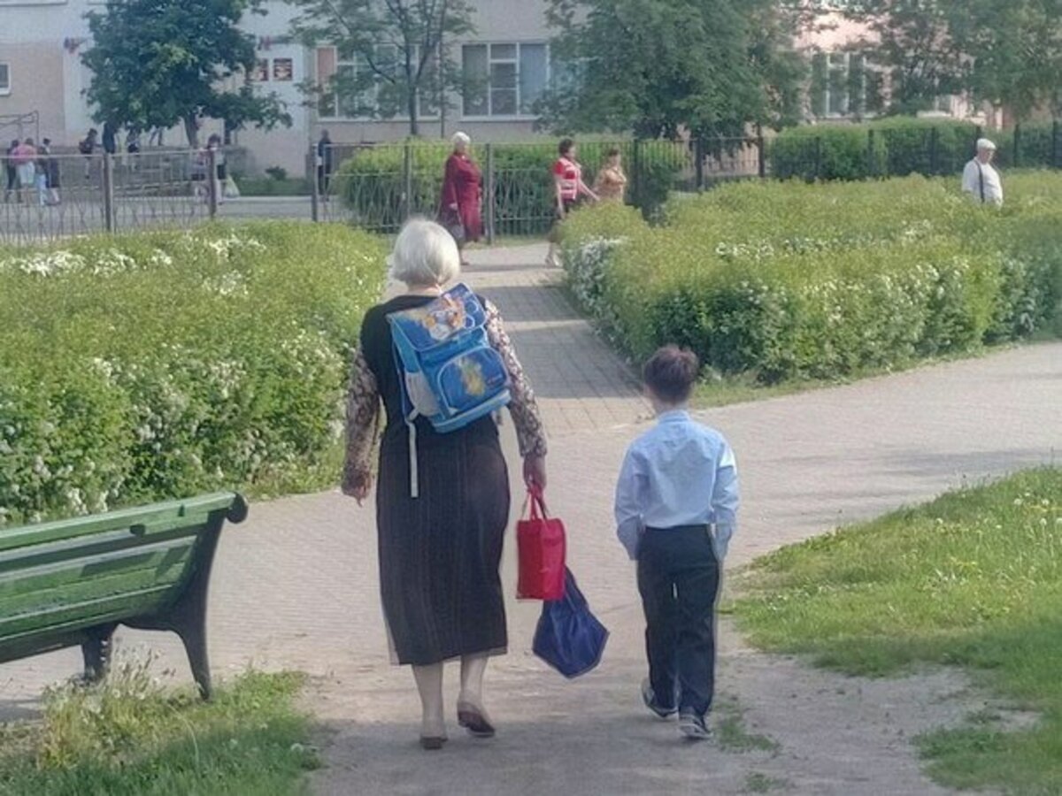 Теперь сын приносит бабки. Провожаем в школу. Бабушка с тяжелыми сумками. Мать провожает ребенка в школу. Бабушка и внук.