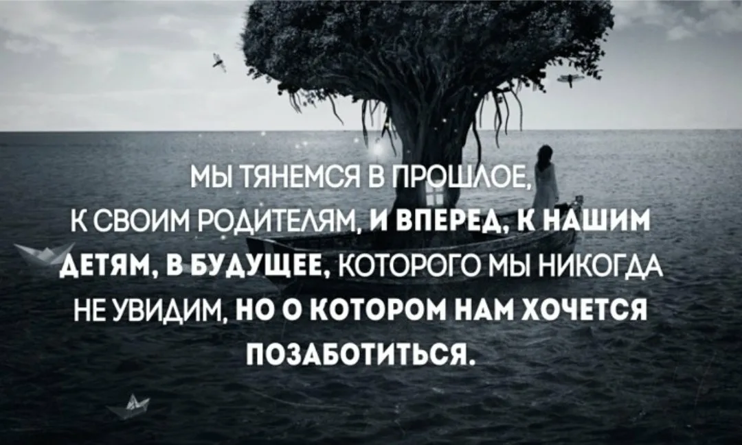 Полезные продукты: топ главных героев ежедневного меню