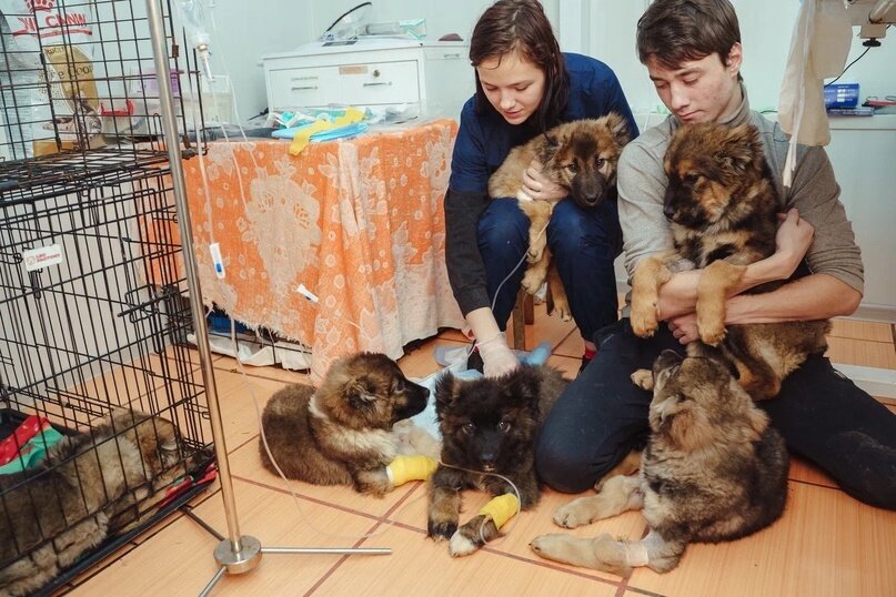 Каждый из них, при поступлении, находился в очень тяжёлом состоянии