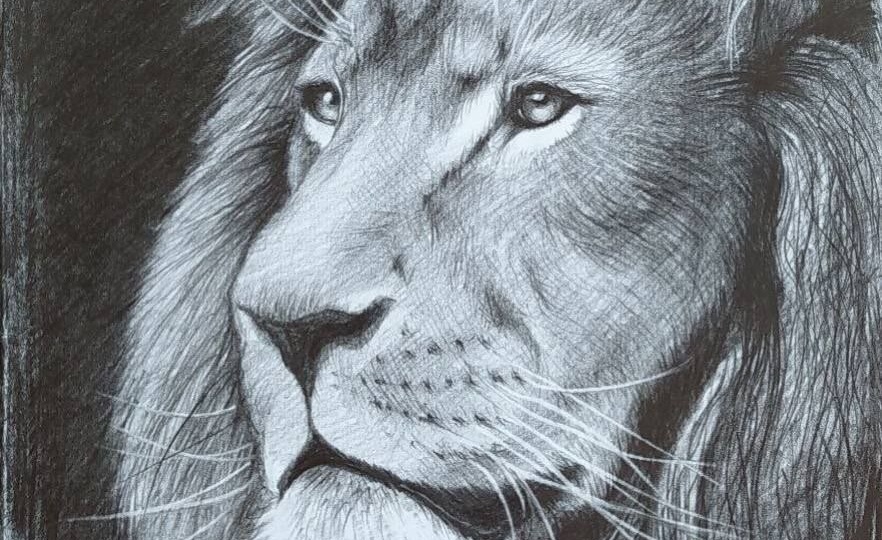 🙄Зачем вам уметь рисовать