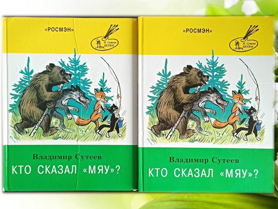 Перед вами две книги. Догадайтесь, в чем различие?
