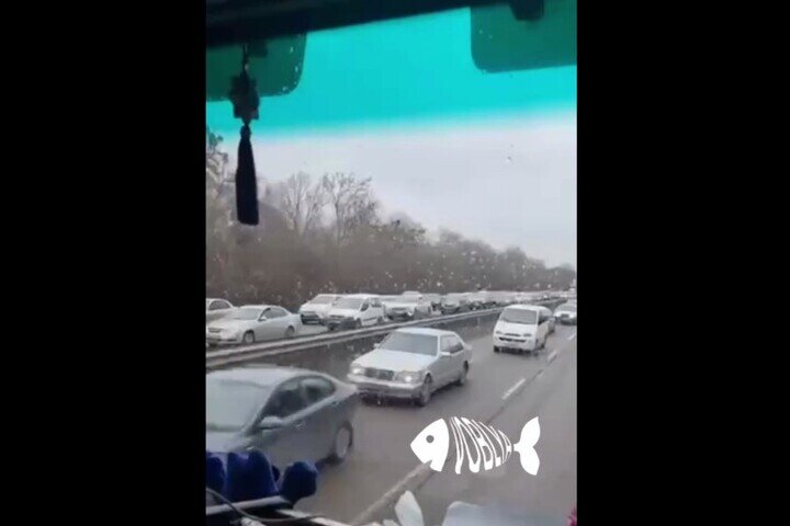 Скриншот видеозаписи с потоком автомобилей, выезжающих из Харькова. Видео Telegram-канала Voblya