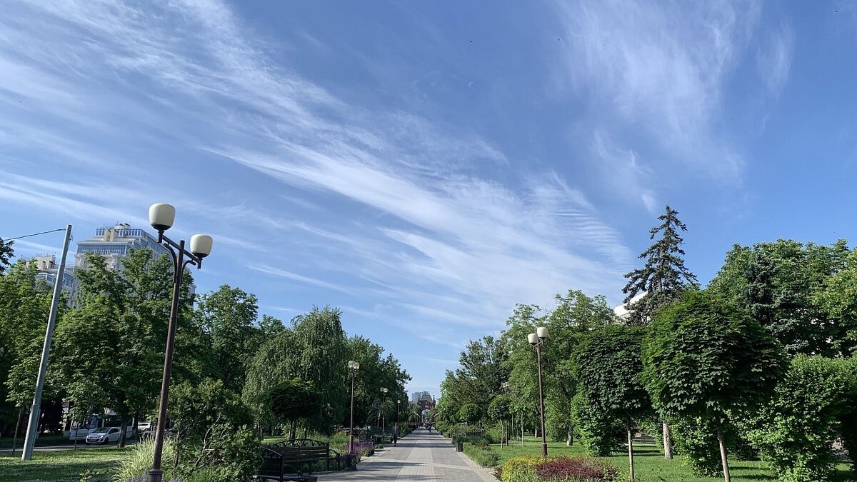    В голосовании за благоустройство зелёных зон лидируют два сквера. Фото: телеканал «Краснодар»