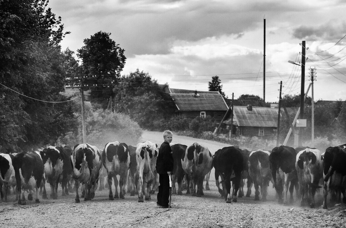 Вот моя деревня...