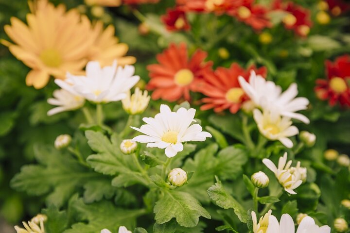 Фото: freepik.com