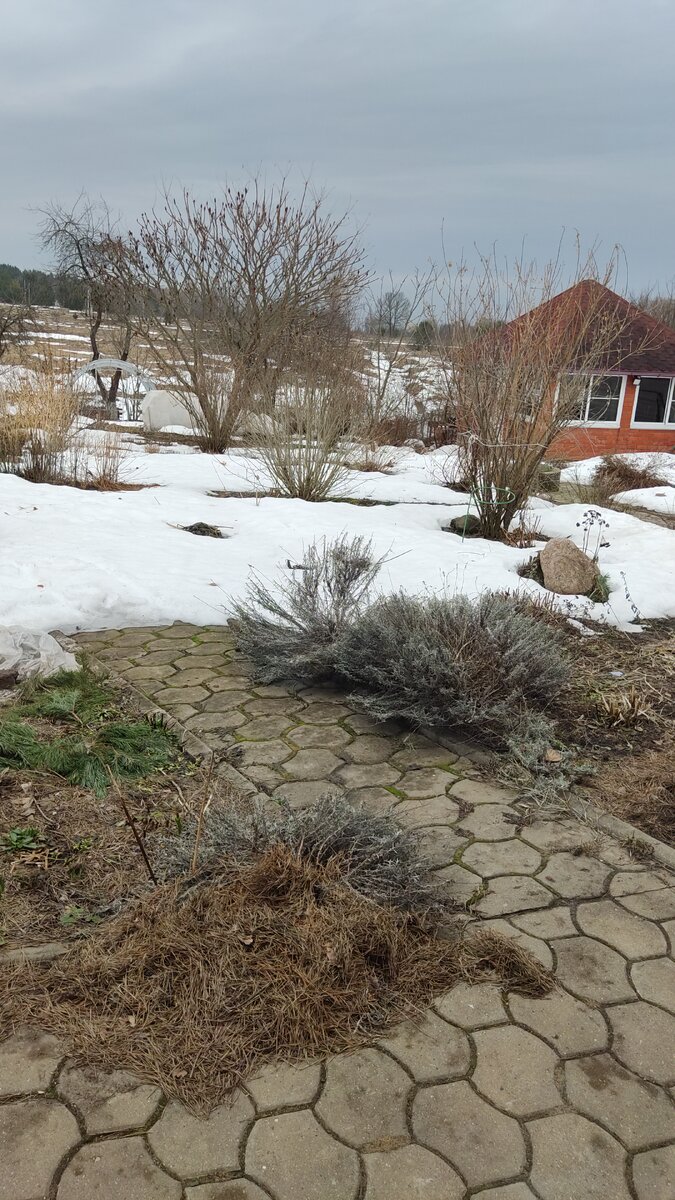 Это 29 марта 2024 года. 