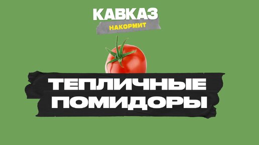 Тепличные помидоры | Кавказ накормит