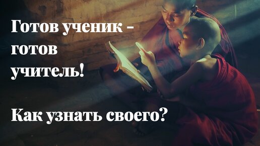 Готов ученик - готов учитель! Как узнать своего?