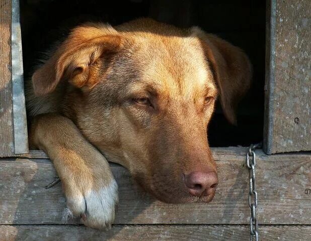 Источник: Яндекс картинки