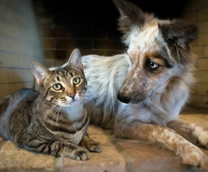 Источник: Яндекс картинки