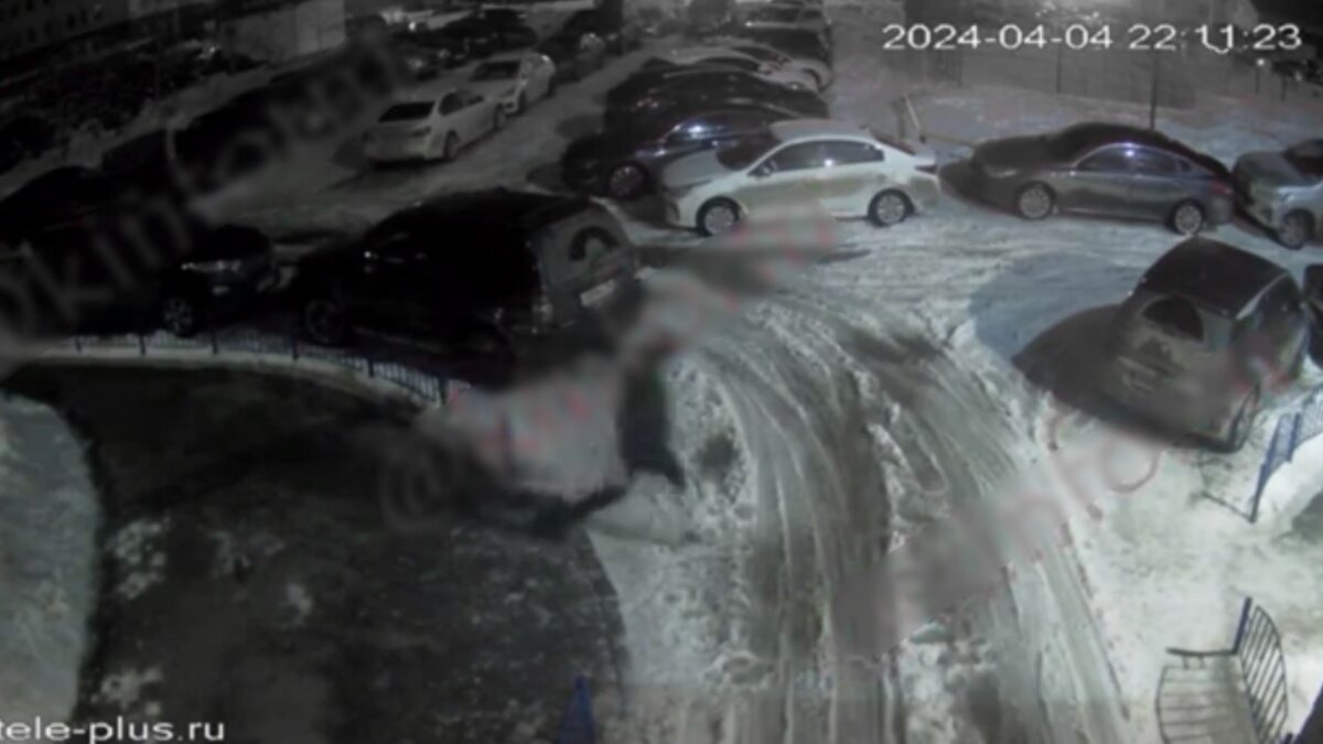 Фото: Скриншот видео