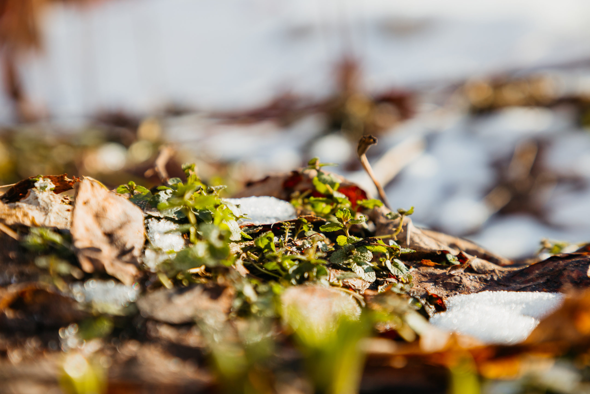 Фото: Кристина Белякова/РИА Верхневолжье 