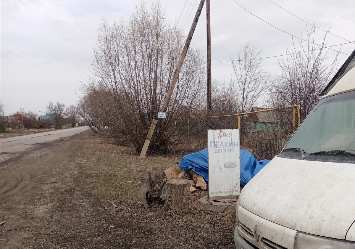 здесь покупала бройлеров по 100 рублей сразу новорожденных, село Петровка Павловский район Воронежская область