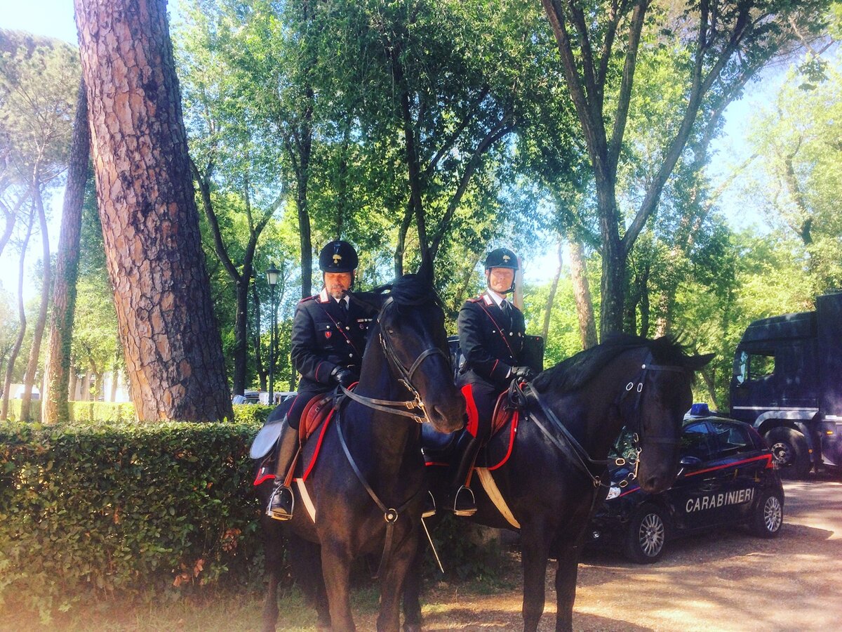 Конная полиция, следящая за порядком.