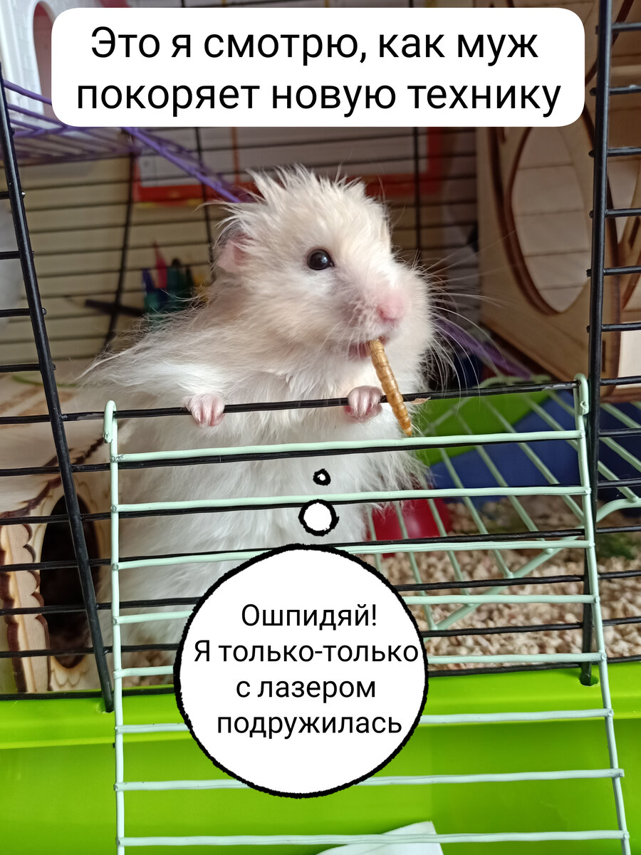 Это я 😅