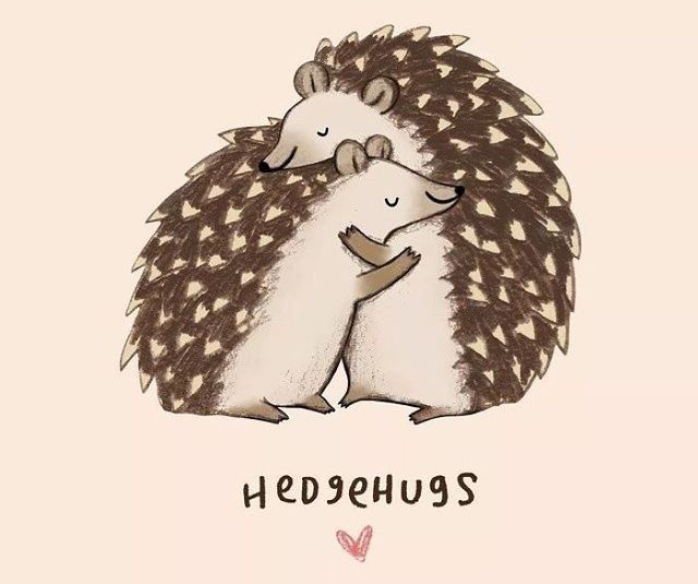 Игра слов от англ. "hedgehogs" (ежи) и "hugs" (объятия). "Hedgehugs" - "объятия через границу". 