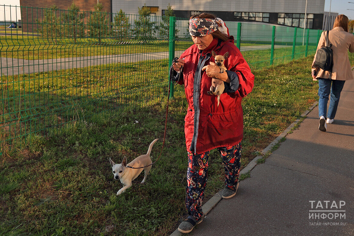 ​Фото: © Михаил Захаров / «Татар-информ»
