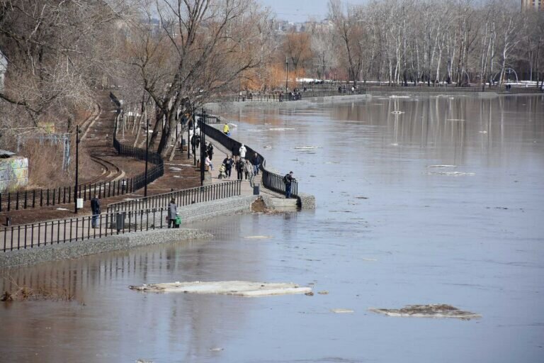    В Оренбурге уровень воды в реке Черная у села Краснохолм снизился почти на метр Кристина Просвиркина