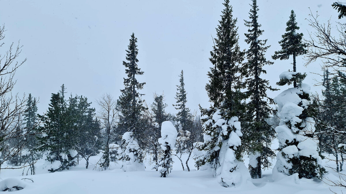 К перевал у Ходовой март 2024 