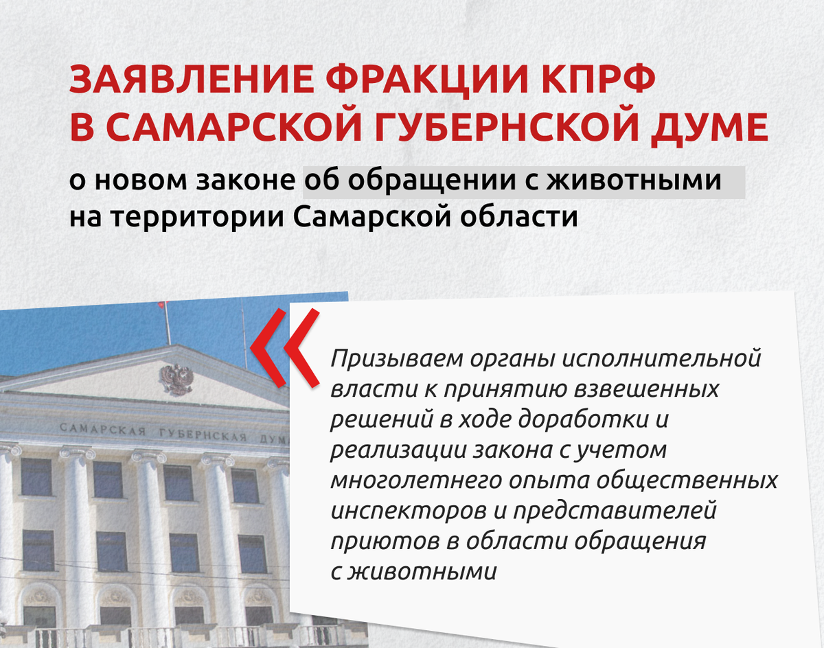 О новом законе об обращении с животными: Заявление фракции КПРФ в Самарской  Губернской Думе | КПРФ Самарская область | Дзен