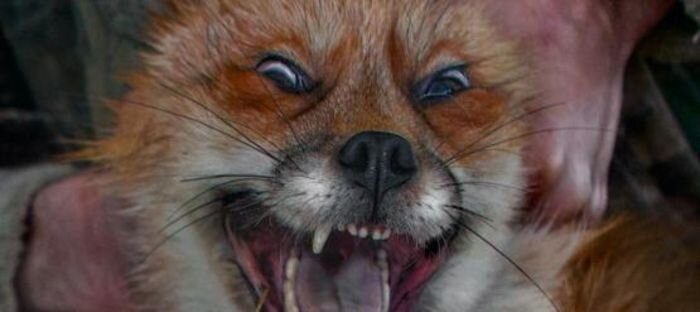 Источник фото: triptonkosti.ru