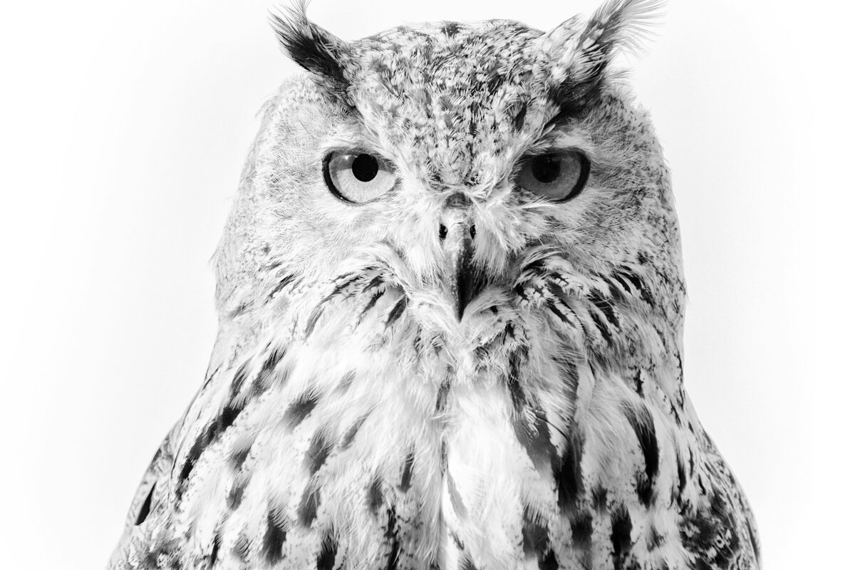 Фото с бесплатного фотостока https://unsplash.com, автор Cole Marshall
