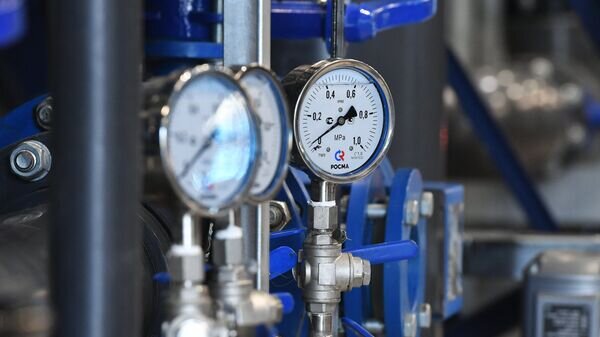    © Sputnik / Михаил Воскресенский