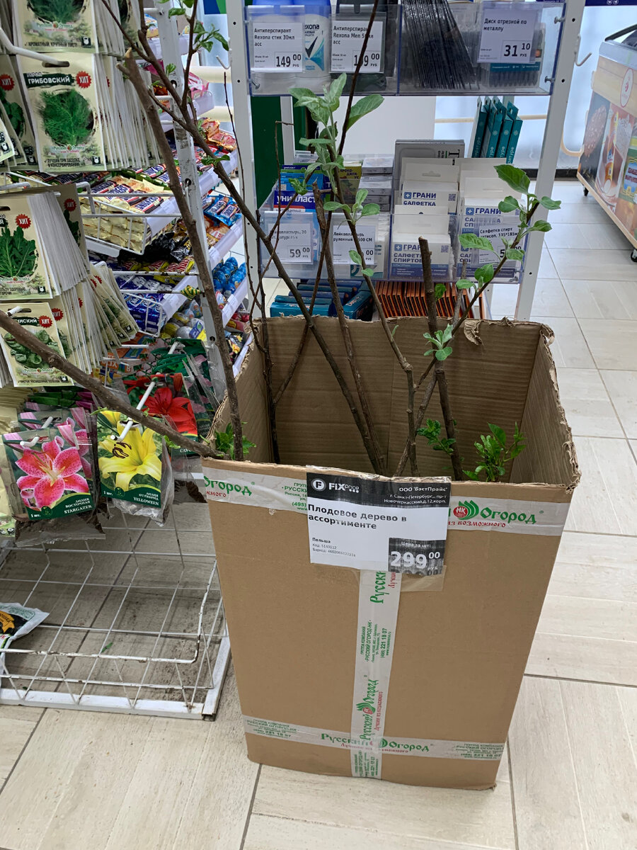 Плодовые в ассортименте 