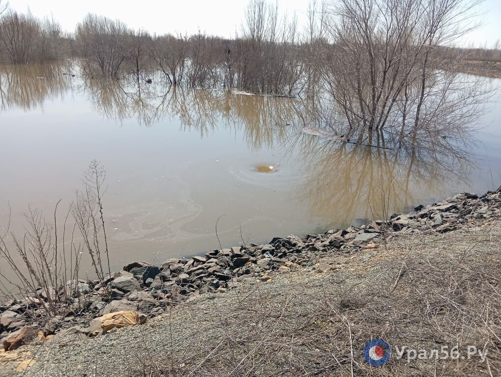    В Орске вода хлынула под дамбой в сады в районе ул. Строителей. Под насыпью оказалась старая техническая труба