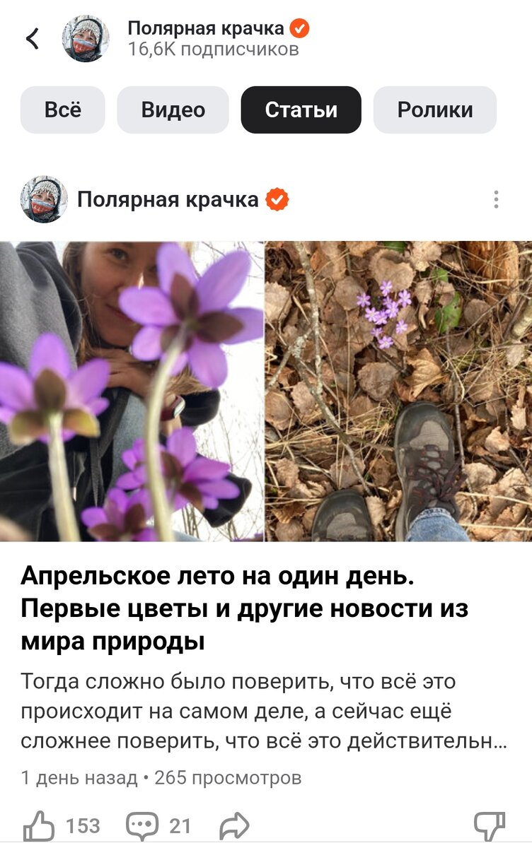 Знаете такой канал? 16,6К подписчиков, но это, на самом деле, в масштабах Дзена не так уж много. 